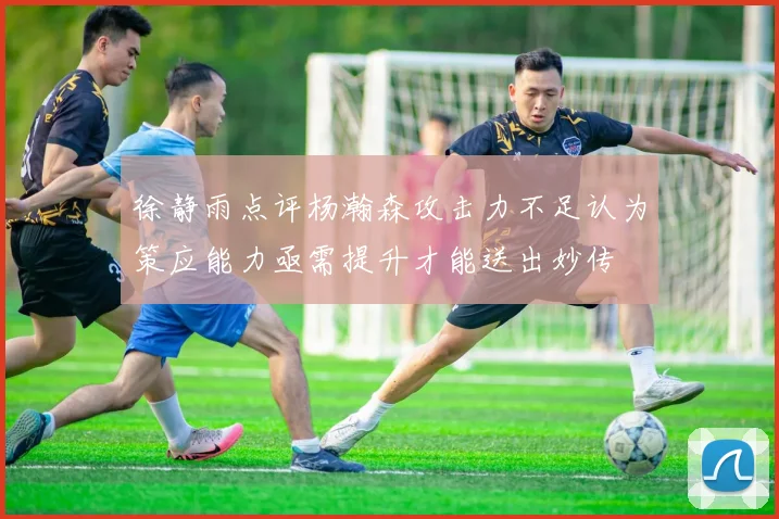徐静雨点评杨瀚森攻击力不足认为策应能力亟需提升才能送出妙传