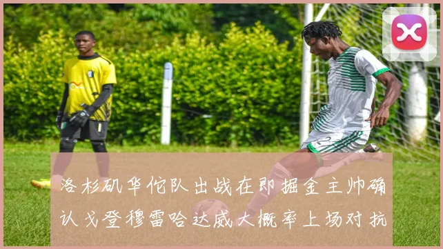 洛杉矶华佗队出战在即掘金主帅确认戈登穆雷哈达威大概率上场对抗湖人