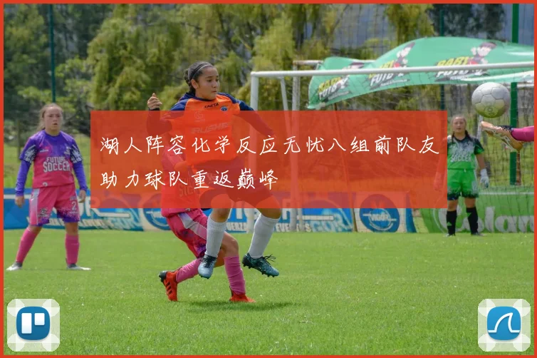 湖人阵容化学反应无忧八组前队友助力球队重返巅峰