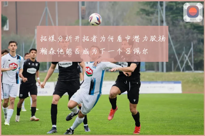 拓媒分析开拓者为何看中潜力股杨瀚森他能否成为下一个吕佩尔